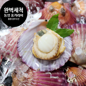 통영 성우수산 깨끗한 세척 선별 홍가리비 1Kg (25미내외), 1박스, 홍가리비 2kg (50미내외)