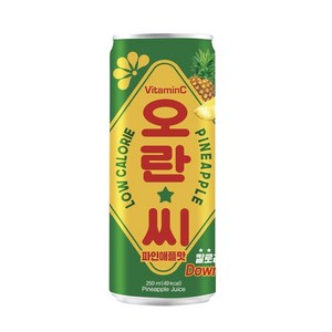 동아오츠카 오란씨 파인애플 캔, 250ml, 30개