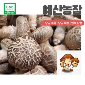 GAP인증 100% 산지직송 가정용 선물용-(농장직배송) 대용량표고버섯 급식용 식당용 건조용 가루용 이쁜이, 4kg, 1개