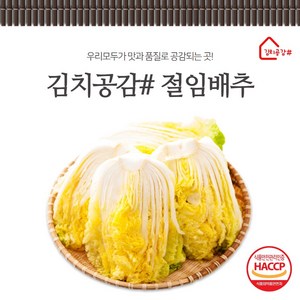 김치공감# (당일생산)(당일발송) haccp인증 명품 절임배추 3kg 5kg 10kg, 1박스, 1개