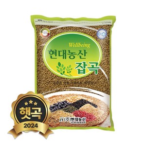 현대농산 국산 차조 2kg, 1개