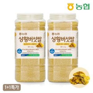 [1+1 특가] 농협 하나로라이스 상황 버섯쌀 대용량 [유기농 상황버섯원료], 2개, 2.2kg