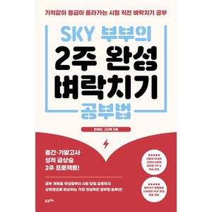 SKY 부부의 2주 완성벼락치기 공부법:기적같이 등급이 올라가는 시험 직전 벼락치기 공부, 포르체, 안예찬,고선희 저