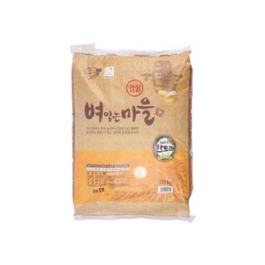 벼익는마을 한토래 공주농협 20kg (23년햅쌀), 1개, 단품