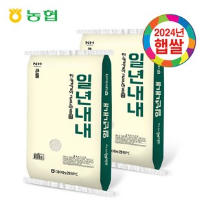 [24년햅쌀] 상등급 일년내내 쌀 (대야농협 백미), 2개, 상세 설명 참조, 10kg