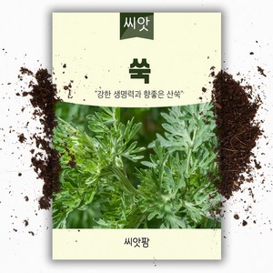 씨앗팜 쑥 씨앗 종자 1만립 쑥 씨, 1개