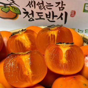 [특품] 씨없는 고당도 프리미엄 청도반시, 1세트, 5kg(소과)