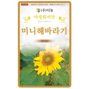 다농 미니해바라기씨앗 2g 가정원예 식물기르기 가드닝 야생화 꽃씨 화훼종자, 1개