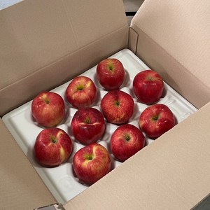 [산지직송] 신선한 경북 꿀사과 자연의 달콤함! 가정용 실속형, 1박스, 가정용)빨간사과 5kg(19-23과)로얄과