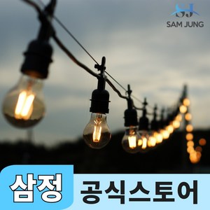 삼정 파티라이트 LED 줄조명 스트링라이트 오징어 등 캠핑 전구 전등선, 캠핑형, A14 23구 스위치 블랙