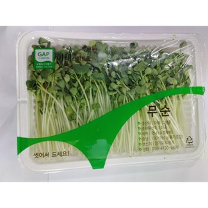 무순 1팩(약150g), 1개