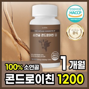 순수한건강 소연골 콘드로이친 1200, 1개, 60정