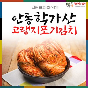 [도경식품][국내산] 안동학가산김치 고랭지 포기김치 (배추김치) 7kg, 1개