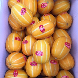 달달 아삭 고당도 성주 참외, 1개, 3kg 못난이