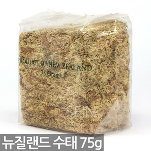 세인화분 뉴질랜드 칠레 수태 75g 150g - 천연수태 석부작 재료 풍란 토피어리 이끼 몬스테라 수태봉 고급 난 분재 화분 목부작 분경, 1개