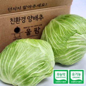 [울팜] 아삭 달달 국내산 친환경 양배추 무농약 유기농 제주 무안 밀양, 1박스, 3kg