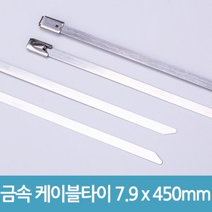 에버마켓 배선정리 금속 케이블타이 7.9mm x 450mm, 10개