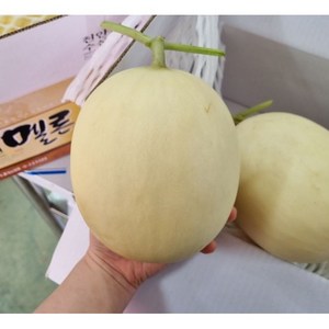 [산지직송] 고당도 홈런메론 천안 수신메론 대용량, 1박스, 수신멜론(홈런멜론) 5kg (3-4수)