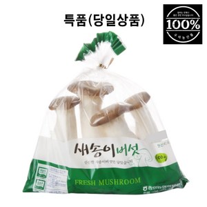 새송이버섯 국내산 400g 1봉지 친환경, 1개