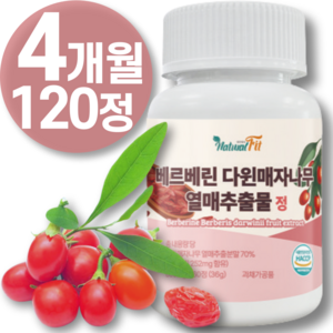 베르베린 추출물 식약청 HACCP 인증 매자나무 리포 베르베린 당 운데실렌산 플러스 조 분 말 미셀 직구 12 효능 5 캐나다 1 0 산 고함량 퀘르세틴 뇨 추천 00mg 영양제, 2개, 60정