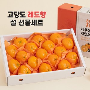 제주도 레드향 3kg 5kg 10kg 가정용 선물용 설 구정 추석 명절 선물세트, 1개, 1. 선물용 3kg 소과