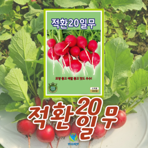 적환20일 무 씨앗 (600립) 종묘 종자 웰빙, 1개