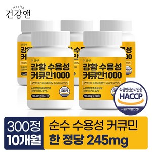 강황 수용성 커큐민 1000 식약청인증 HACCP 건강앤, 60정, 5개