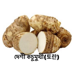 DREAM 냉동 토란 500g FROZEN MUKHI KOCHU 500g, 1개