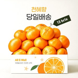 [프리미엄] 13bix 고당도 제주 천혜향 1kg/2kg/9kg 선물용, 1박스, 2kg (8-12과)