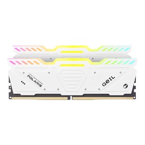 GeIL DDR5 5600 CL38 POLARIS RGB 화이트 패키지 32GB(16Gx2), 1개