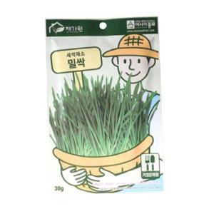 밀싹 캣그라스 30g, 1개, 밀