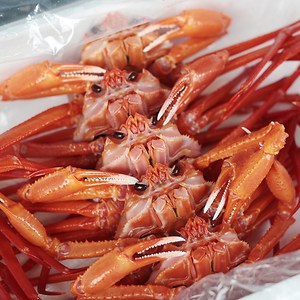 [진무수산] 선주직송 당일조업 신선도 프리미엄 정품홍게3kg 몸통수율 80~90% 다리수율 90% 가성비3kg 몸통수율 60% 다리수율 70% (10~12미내외), 가성비 홍게 3kg (10마리)