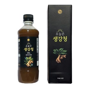 오늘은 생강청 생강차 생강진액, 2개, 1개입, 600g