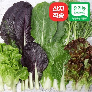 [자연마을] 친환경인증 유기농 당일수확 모듬 쌈 야채 샐러드 상추 모듬쌈, 1개, 600g