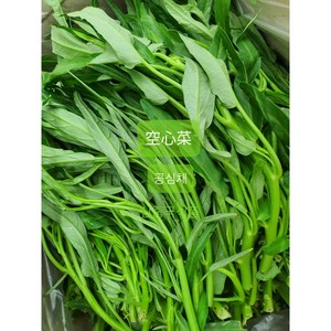 [신중국식품] 싱싱공심채 쿵신차이 야채, 500g, 1개
