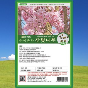 다농 산벚나무 씨앗 20g, 1개