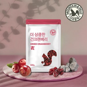 산과들에 건 크랜베리 500g 2봉 1kg 건크랜베리, 2개