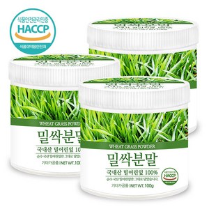 푸른들판 국산 밀싹 분말 가루 100% HACCP 인증 밀새싹 밀순 밀싹순 파우더, 100g, 3개