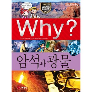 Why? 와이 암석과 광물[예림당][조영선 글], 조영선 글/이영호 그림/조문섭 감수, 예림당