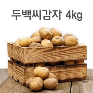 강원도 종자관리사 보증 두백 씨감자 4kg 10kg 20kg, 두백감자(쪄먹는용), 1개