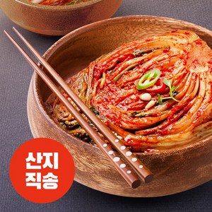 한경 전라도 해풍 생 포기 김치 (일반) 10kg, 일반, 1개