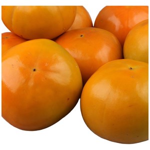 [청년농부] 진영단감 고당도 최상품 5kg 10kg, 5kg대과 (23과 내외), 1개
