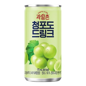 해태 과일촌 청포도 드링크 175ml x 30캔, 30개