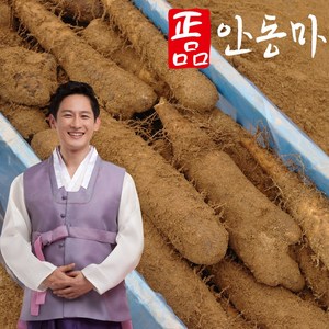 산지직송 안동마 산마 장마 참마 3kg 5kg, (산마) 정품 3kg, 1개