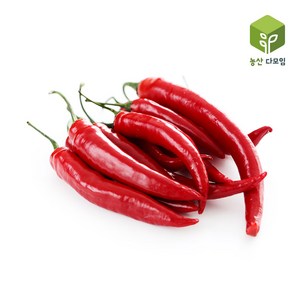 홍고추(특) 1kg, 1개