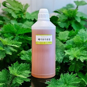 [더위치] 쐐기풀추출물 1L 네틀추출물 Utica Dioica Nettle Extact, 1개