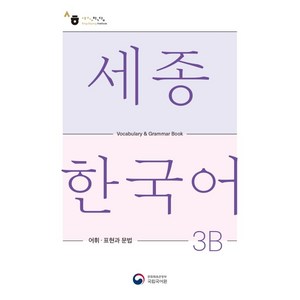 세종한국어 3B 어휘 표현과 문법(Sejong Korean Vocabulary and Grammar 3B), 공앤박