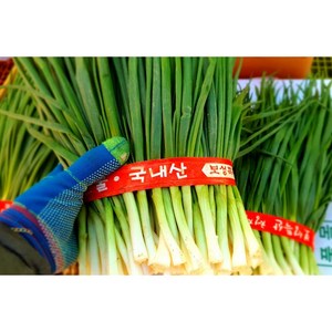 (가락시장까망콩) 깨끗하게 손질된 깐쪽파 파김치 파무침용 1단 1kg 내외, 1개