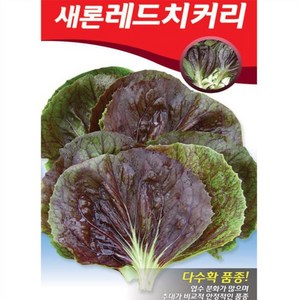 새론 레드치커리씨앗 (2000립), 1개