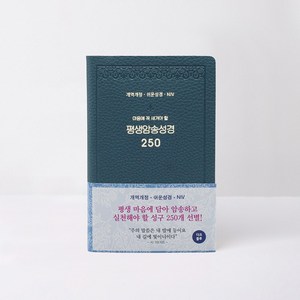 개역개정 평생 암송 성경 250 (쉬운성경 / NIV) 다크블루, 아가페